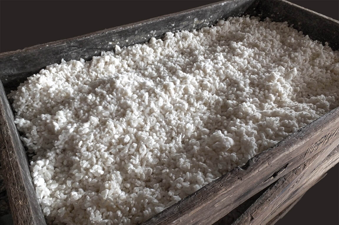 完成した麹の画像