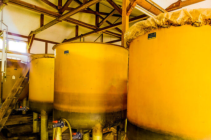 醤油工場の内部